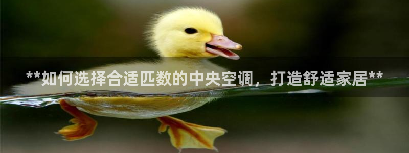 环球360官方游戏